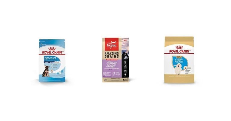5 Nutrient-Packed Puppy Foods for Golden Retrievers in 2025