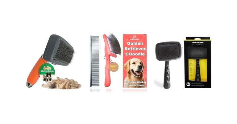 5 Essential Brushes Every Golden Retriever Puppy Owner Needs