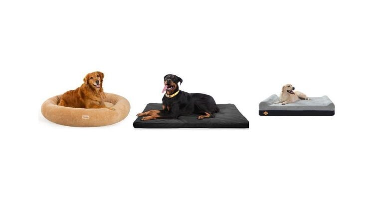 7 Must-Have Dog Beds for Golden Retrievers in 2025