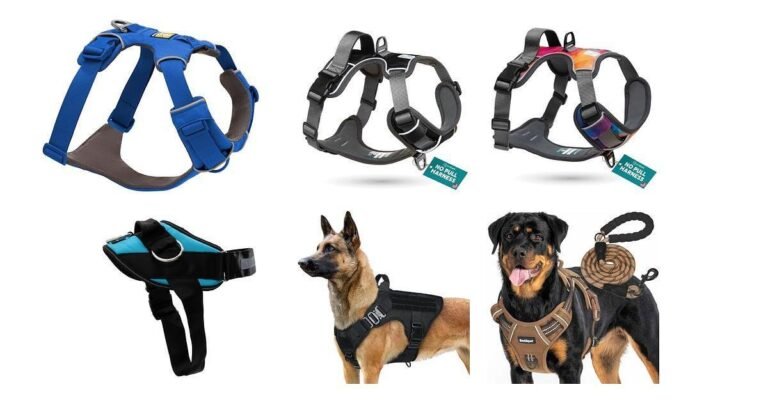 9 Game-Changing Dog Harnesses Every Golden Retriever Owner Needs