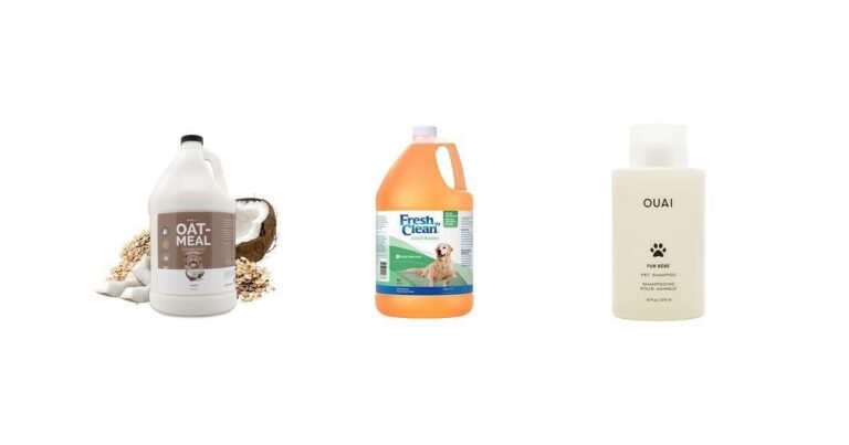 4 Dog Shampoos Every Golden Retriever Owner Needs This Year